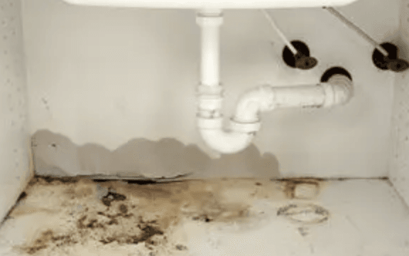 Screenshot-2025-06-15-at-3.13.09-pm