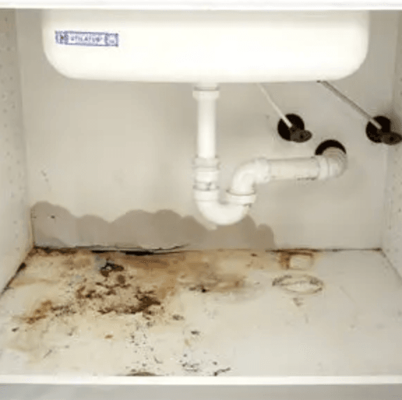 Screenshot-2025-06-15-at-3.13.09-pm