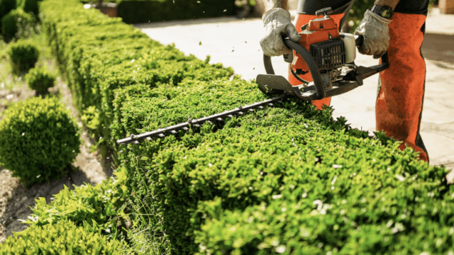 Screenshot-2025-06-15-at-4.00.21-pm