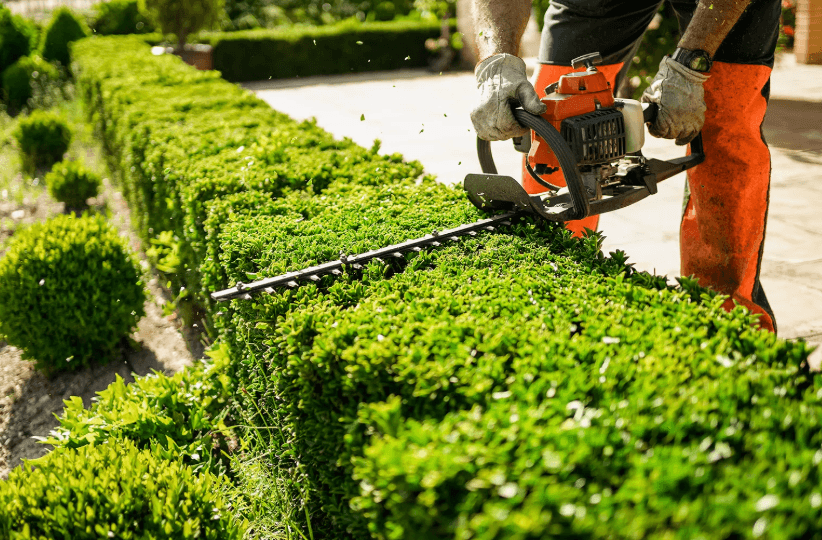 Screenshot-2025-06-15-at-4.00.21-pm